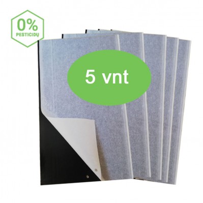 MAGNET BLACK mini augalinių blakių gaudyklė (20x12), MAXI pakuotė (kaina nurodyta 1 vnt.)